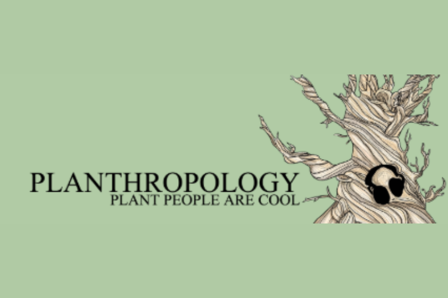 planthropology: plant people are cool