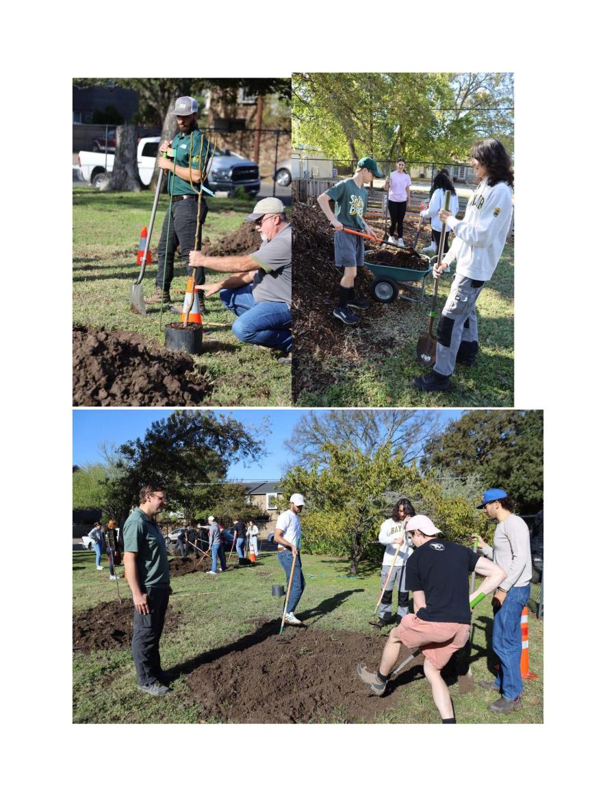 arbor day
