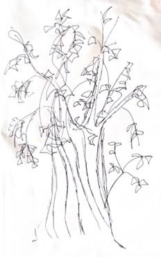 a sketch of a campus tree